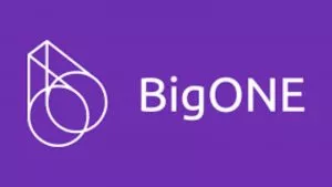 Lee más sobre el artículo BigONE