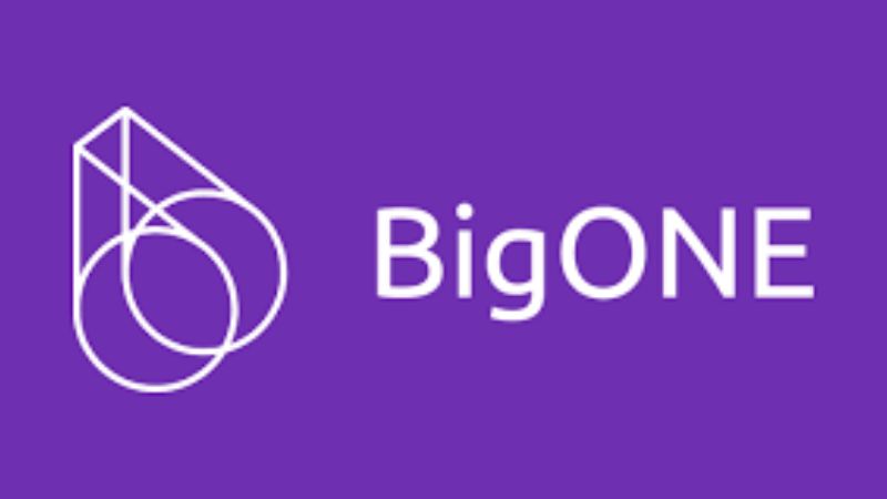 En este momento estás viendo BigONE