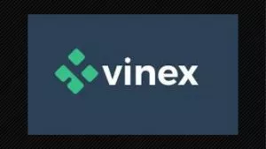 Lee más sobre el artículo Vinex