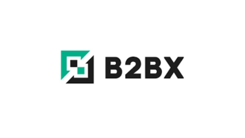 En este momento estás viendo B2BX