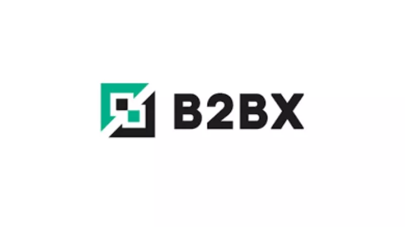 En este momento estás viendo B2BX