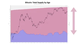 Bitcoin alcanza 15.8 millones de poseedores a largo plazo